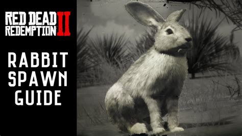 rabbit rdr2